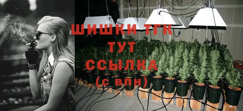 продажа наркотиков  Люберцы  Каннабис Ganja 